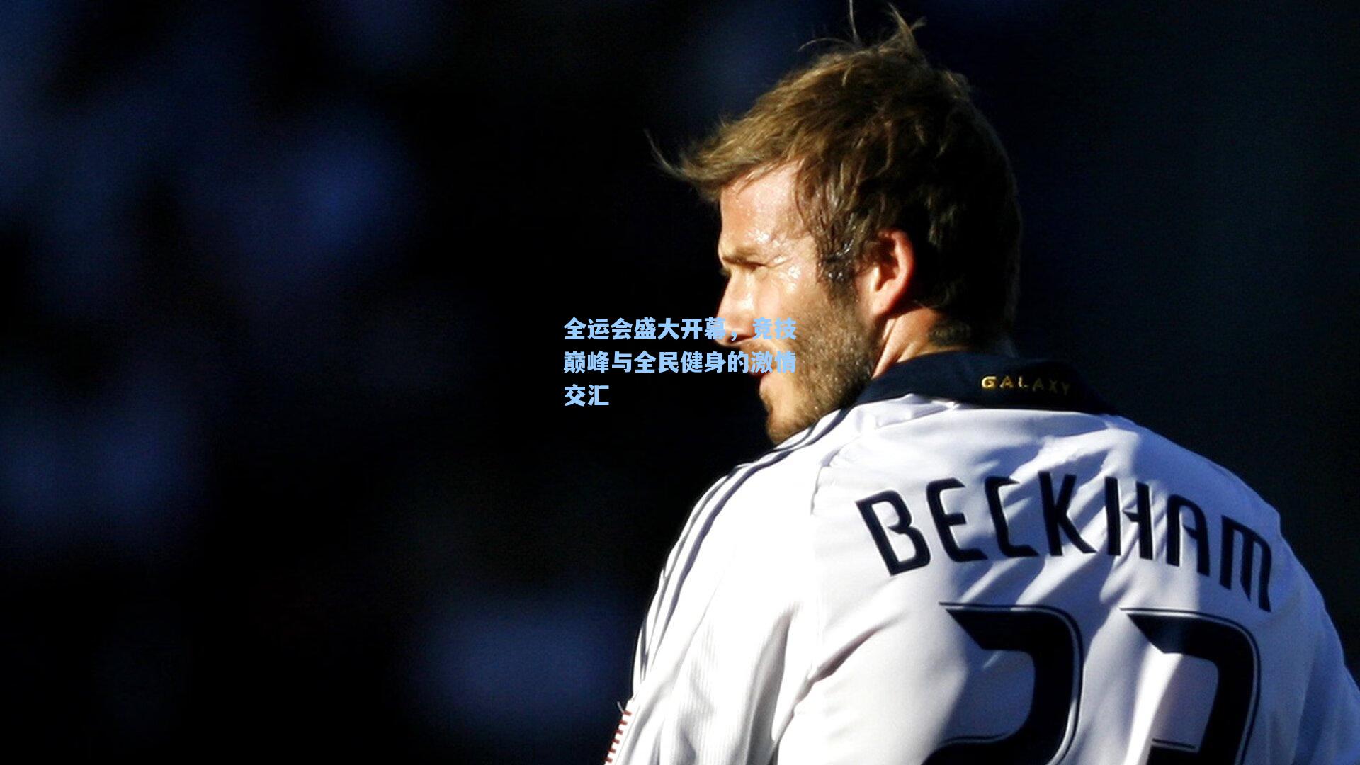 【海星体育入口】全运会盛大开幕，竞技巅峰与全民健身的激情交汇