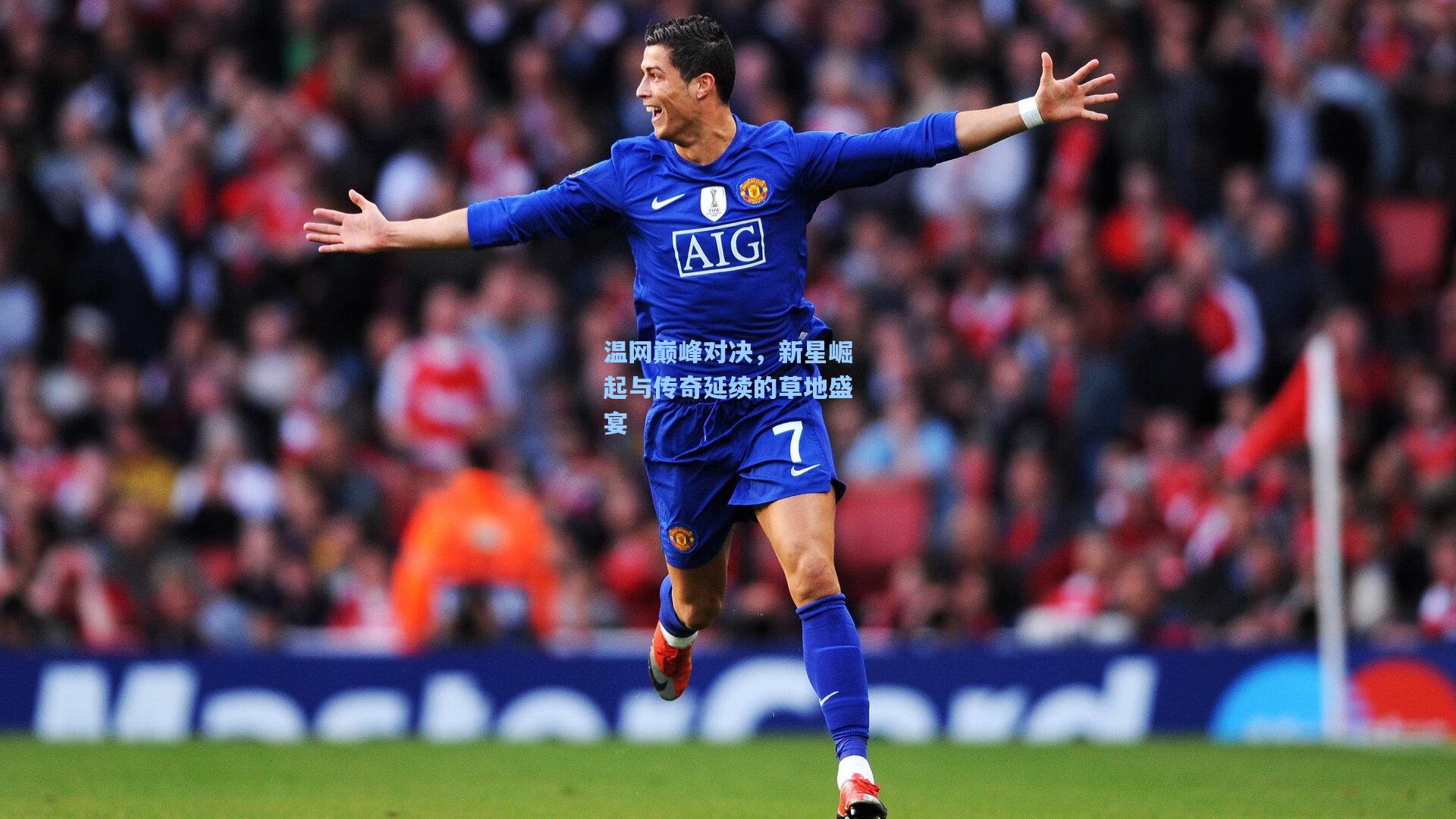 温网巅峰对决，新星崛起与传奇延续的草地盛宴